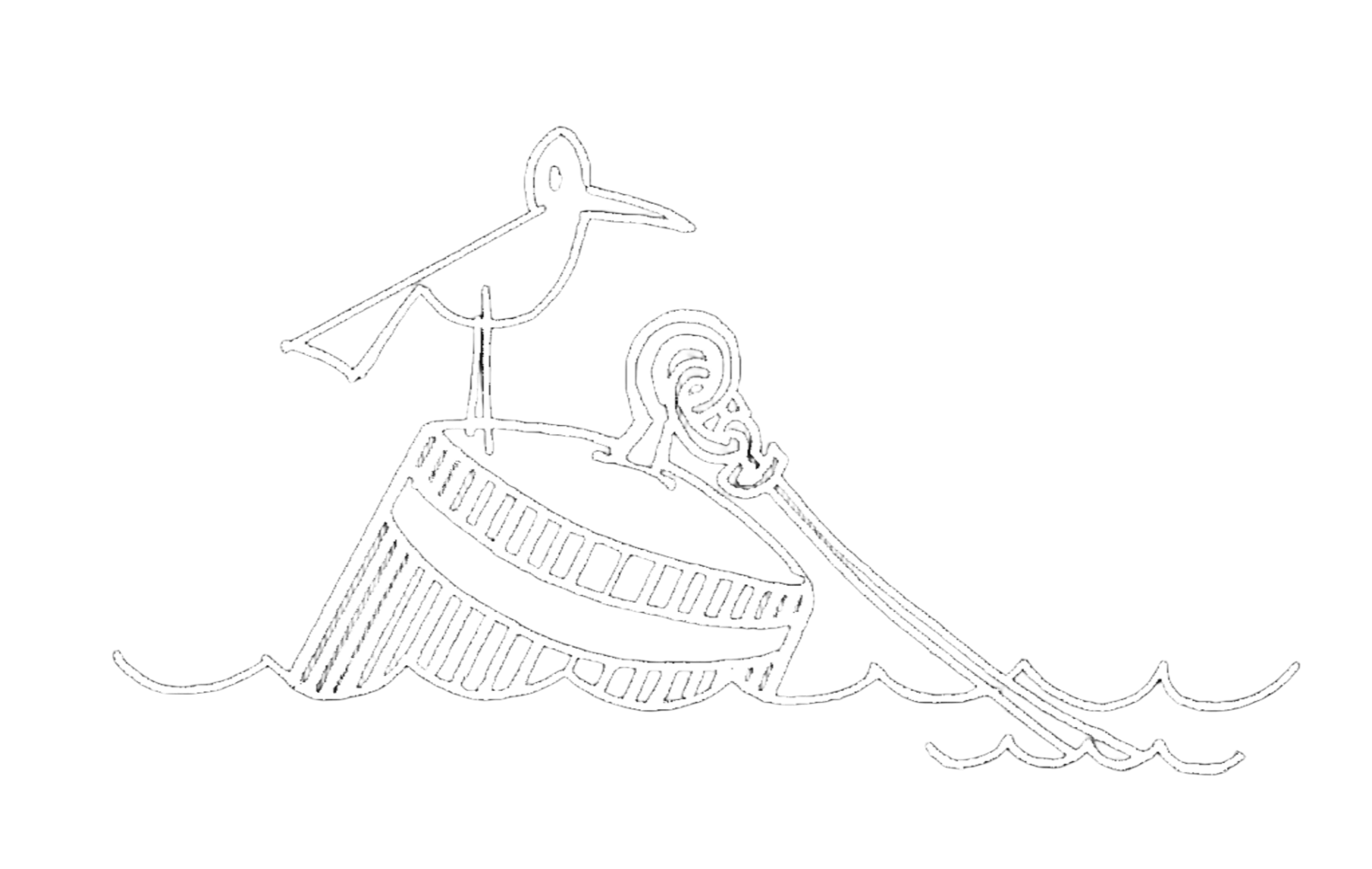 NMA Bird illustration