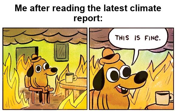 This is fine meme: a dog sitting in a burning room, captioned: me after reading the latest climate report